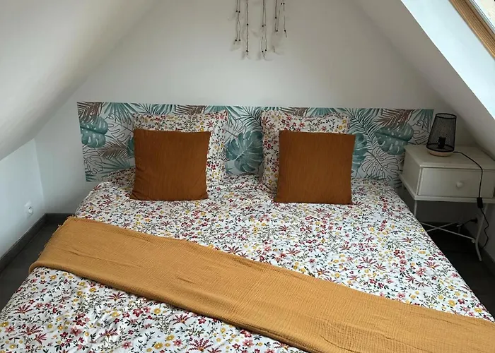 Hébergement de vacances L'echappée Verte - Guînes, Maison 2 à 25min Du Site Des 2 Caps Guînes